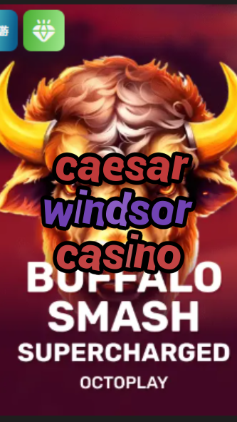 caesar windsor casino-w4cy2mdjlx2bf.com