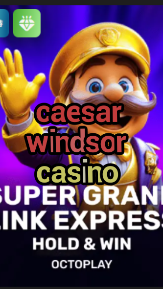 caesar windsor casino-w4cy2mdjlx2bf.com